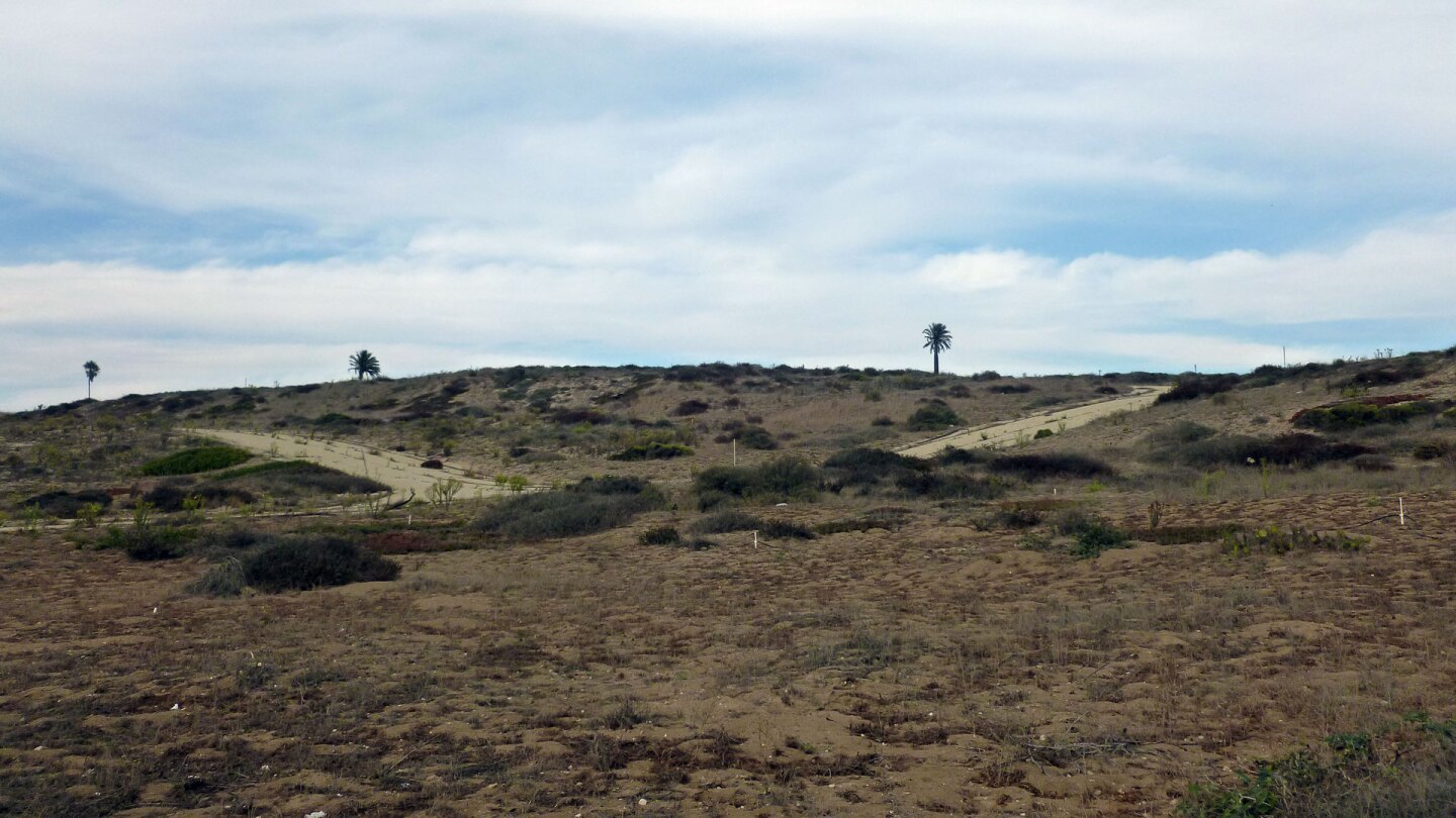 abandones roads in the el segundo dunes