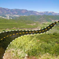 The Fight to Protect Los Padres National Forest