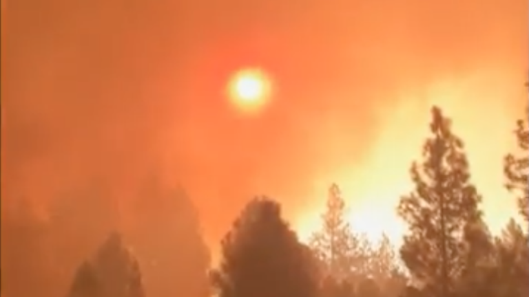 “No Danger to Paradise,” 911 Callers Were Told