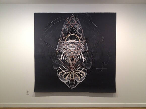 Installation shot of Amy Meyer exhibit "Different Particles & Indeterminate States: New Monumental Drawings" | Photo: Tyler Stallings