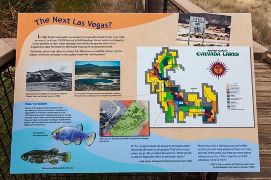 Interpretive display showing the intended master plan for the Cavada Lakes estates. | Photo: Kim Stringfellow.
