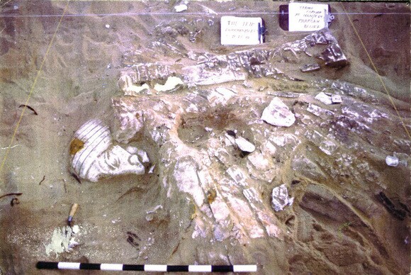 Much of the "Ten Commandments" movie set, seen here in 1999, remains buried beneath the Guadalupe-Nipomo Dunes. | Courtesy of Guadalupe-Nipomo Dunes Center.