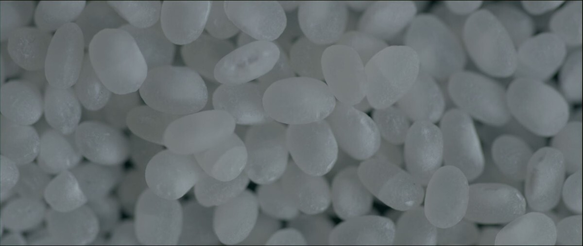 Sake rice | Still from "The Migrant Kitchen" Sequoia Sake MKs3