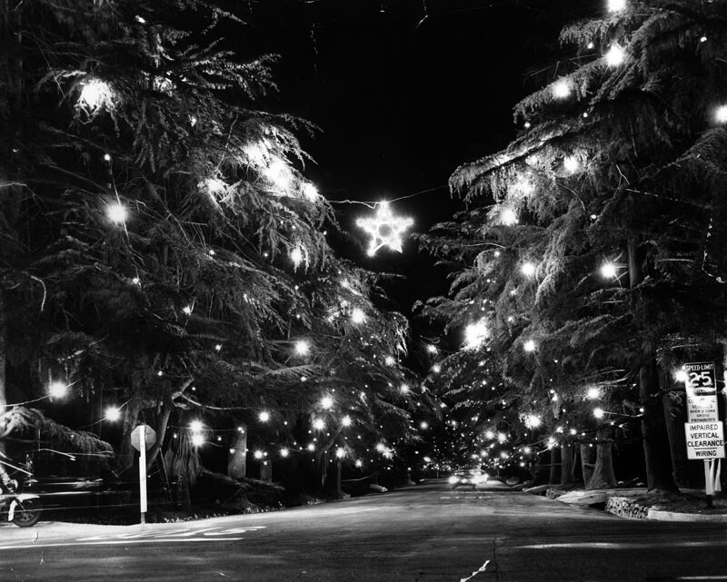 Christmas Tree Lane in 1960. Courtesy of the Herald-Examiner Collection - Los Angeles Public Library.