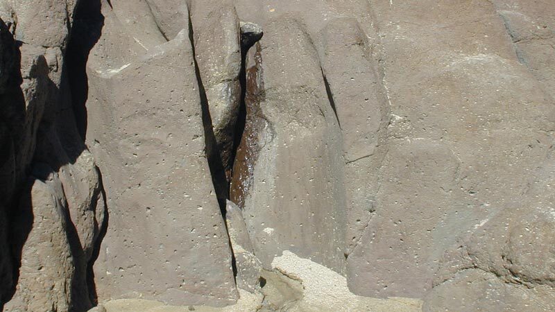 Seep at Red Rock Canyon State Park