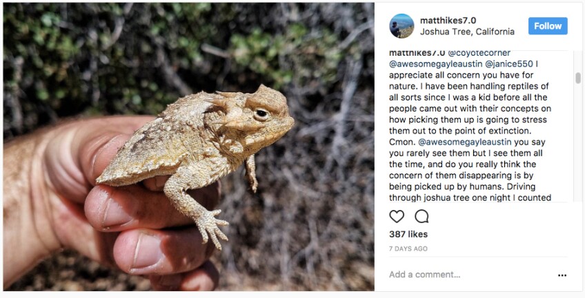 Instagram user claims his documented harassment of Park wildlife is no big deal | Image: via Instagram