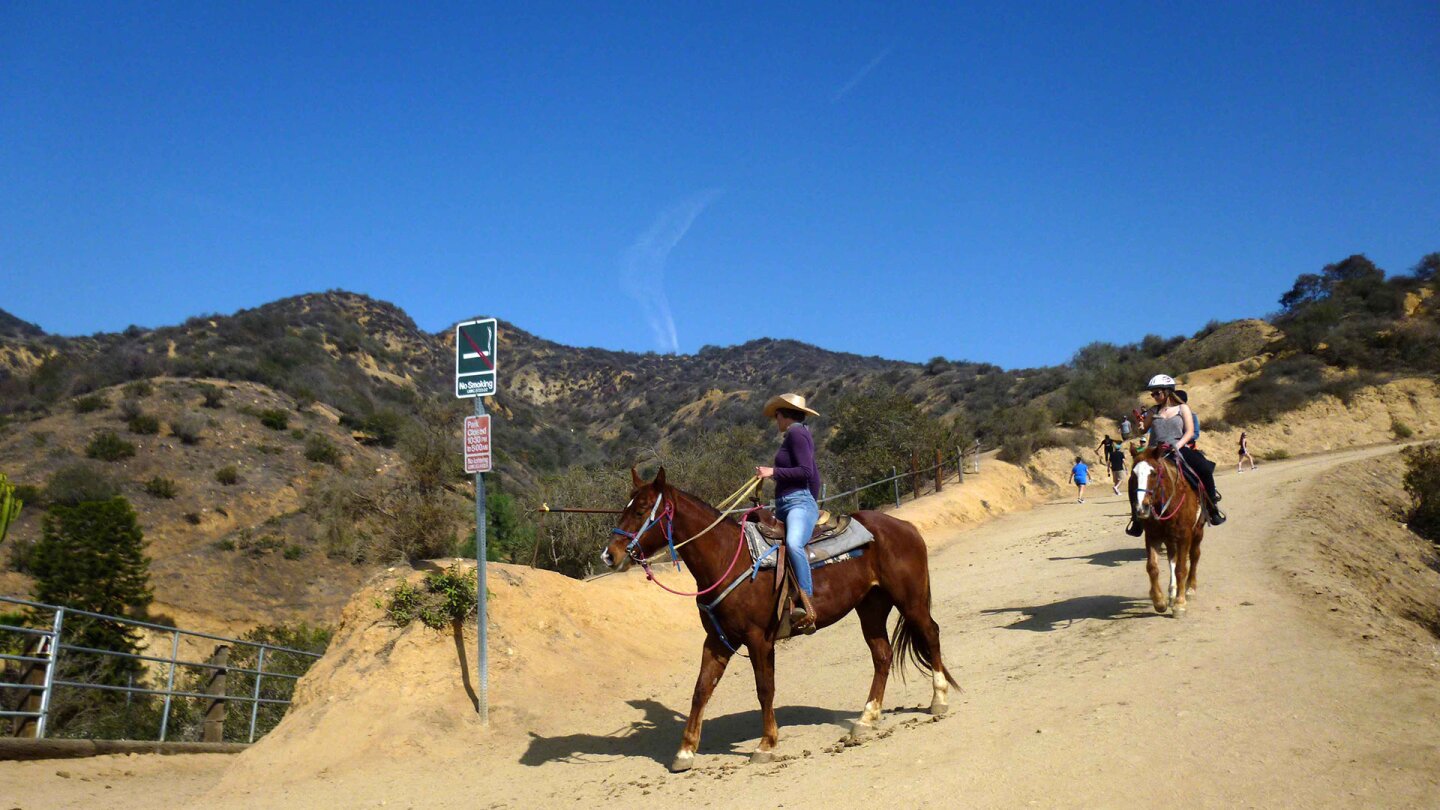 Two women ride on horseback in Griffith Park | Sandi Hemmerlein