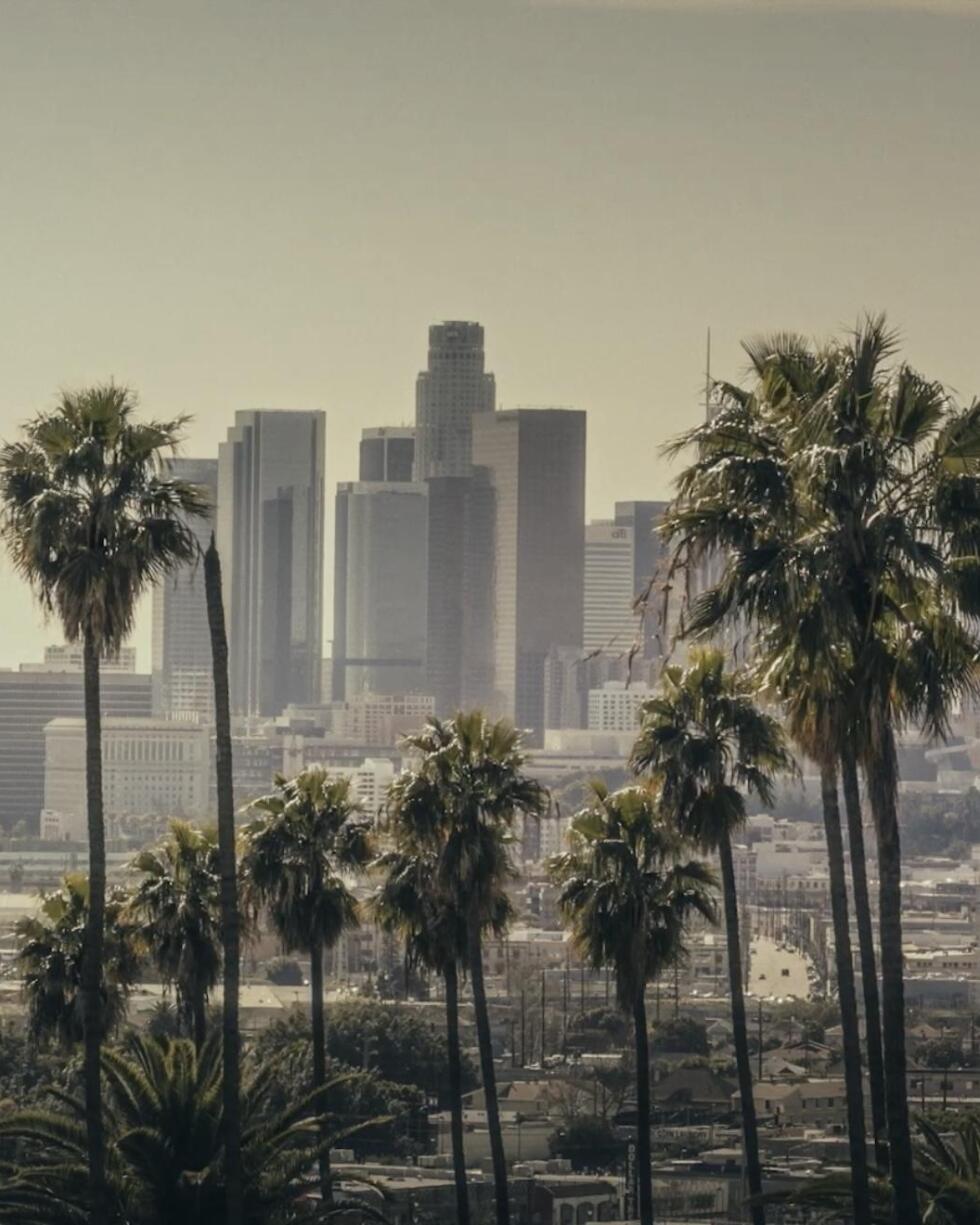 Combating Climate Change with Trees