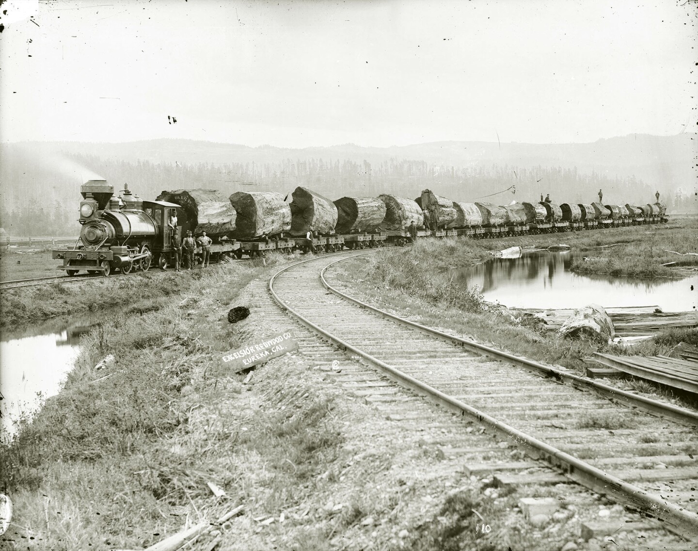 Redwood train