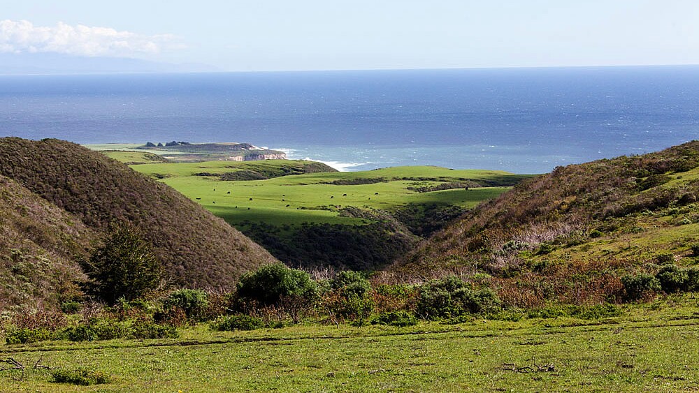 The Cotoni-Coast Dairies site in Santa Cruz County | photo courtesy BLM