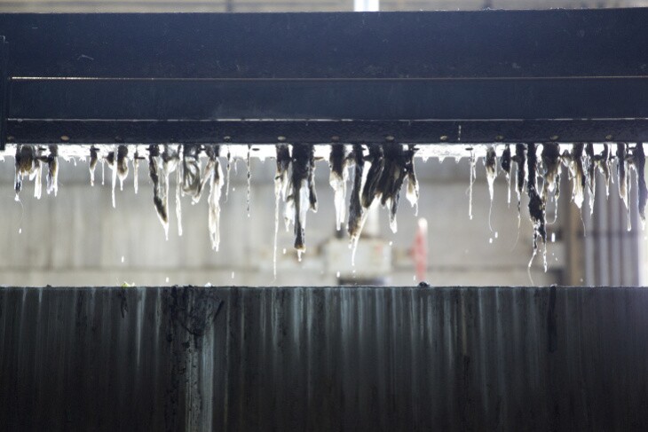 Hyperion Water Reclamation Plant, solid items being skimmed from raw sewage on Nov 12th 2015. | Dan Tuffs/KPCC/LAist