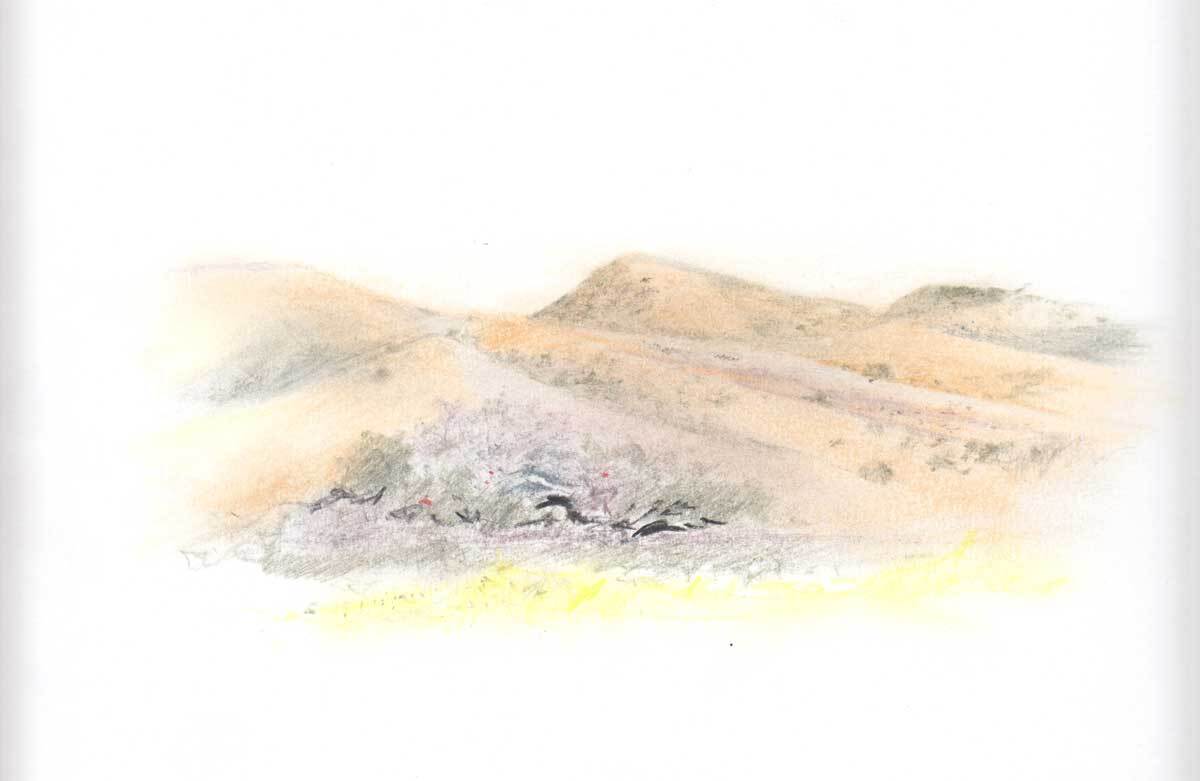 Thomas Zummer's drawing at San Clemente Border Station for "Three Border Ecologies" | Courtesy of Hillary Mushkin