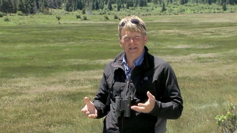 Rocky Mountain Grassland