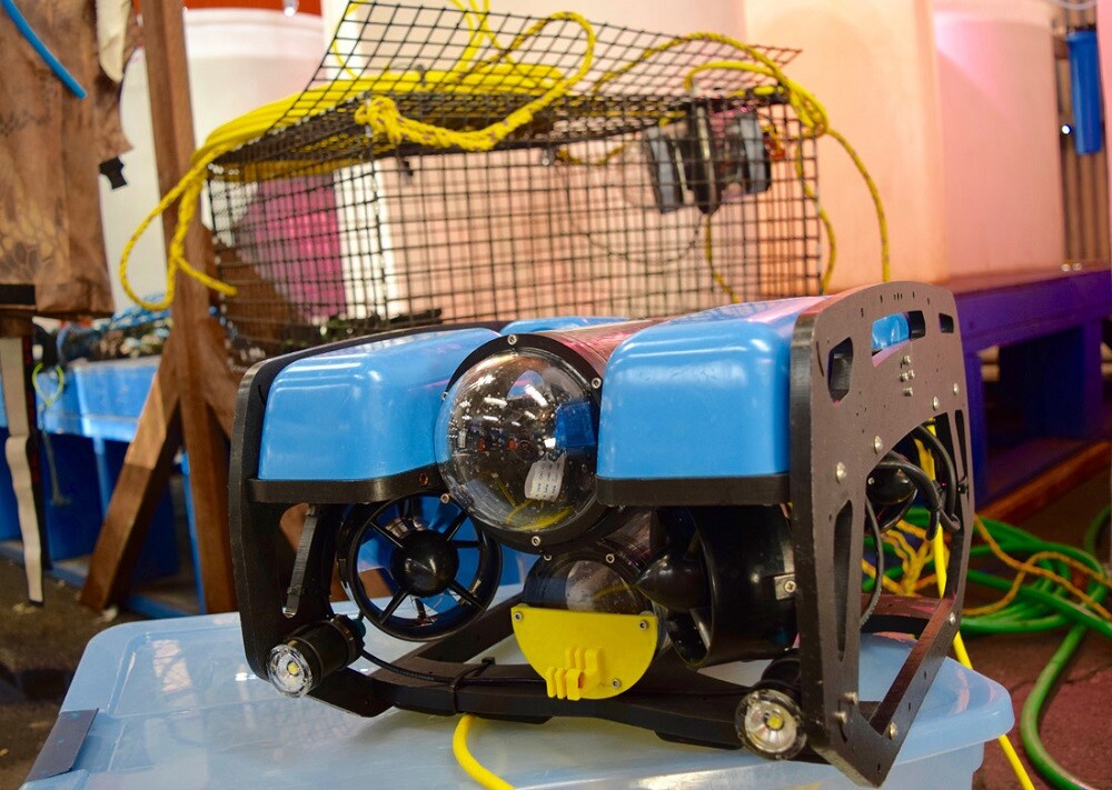 Blue Robotic’s mini-ROV used by Catalina Sea Ranch