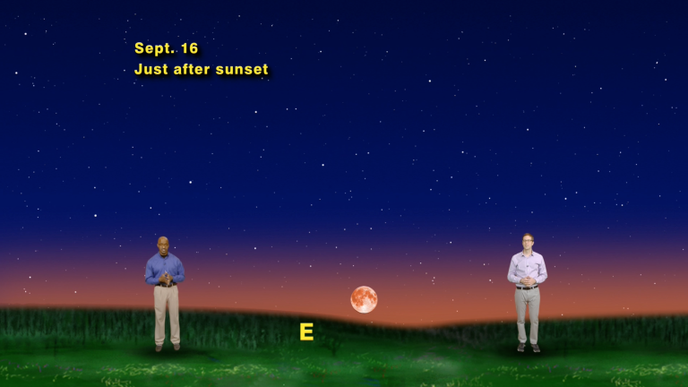 "Up All Night with the Harvest Moon" Sept 5-11th 1 Min