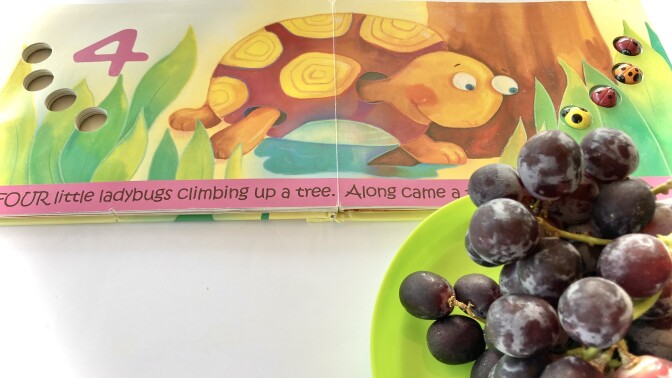 Close up of a counting book and purple grapes