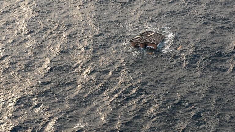 Surviving the Tsunami Preview
