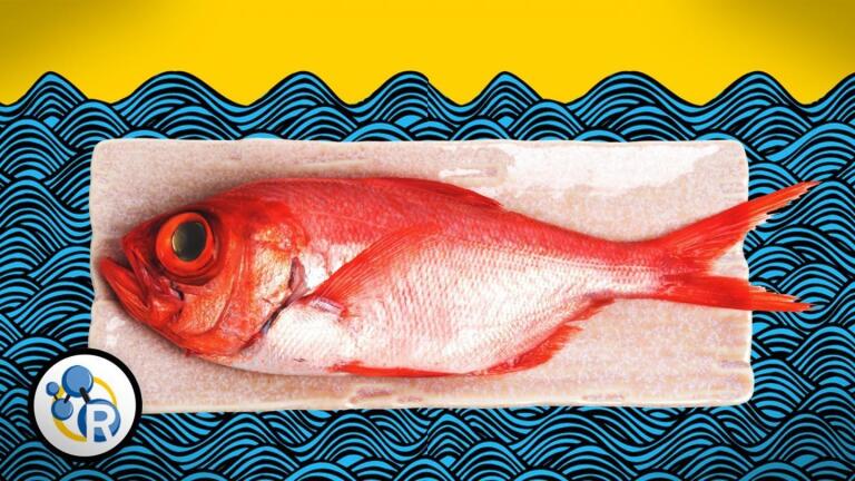 How To Make Fish Less Fishy (Chemistry Life Hacks)