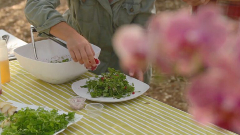 foraging_body1