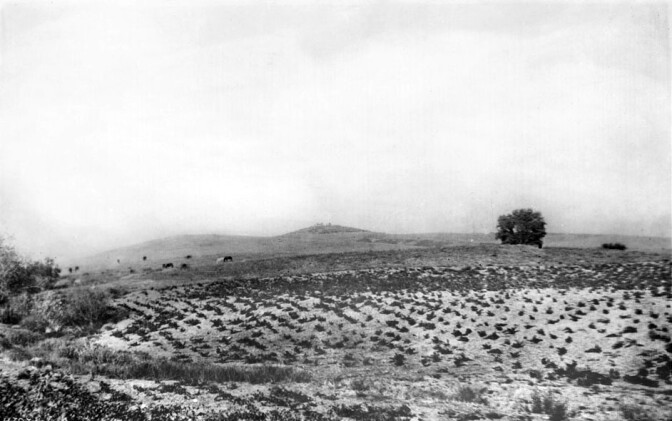 Cattle graze on Bacon Hill, the future site of the Raymond Hotel, circa 1875. Courtesy of the Title Insurance and Trust / C.C. Pierce Photography Collection, USC Libraries.