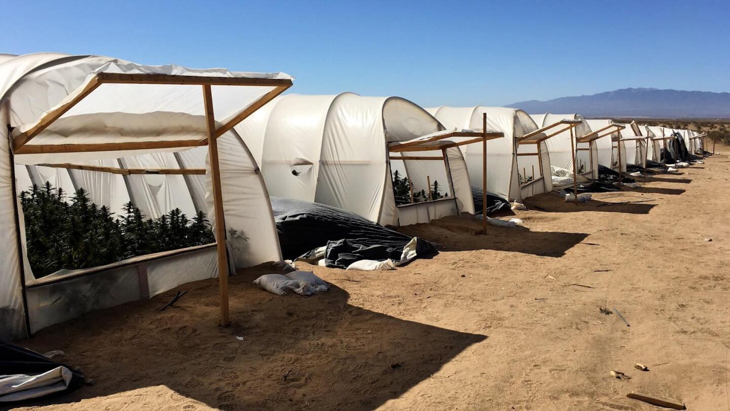 Water Theft Hits Record Levels During Drought | July 30