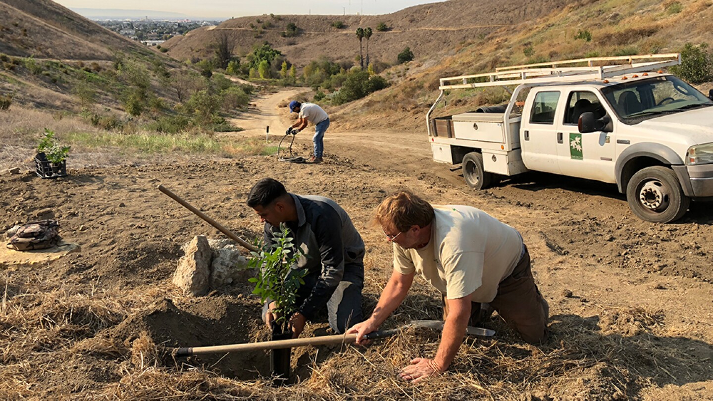 Tom Dwyer demonstrating proper tree planting for local youth at Ascot Hills. This was the last large habitat restoration project that Tom led. | Courtesy of North East Trees