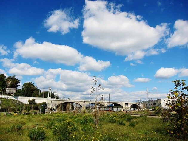 cornfieldstatepark.jpg