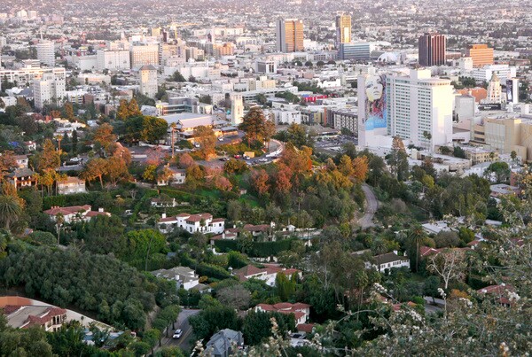 Mature trees cover the Outpost Estates today | Photo by Yosuke Kitazawa