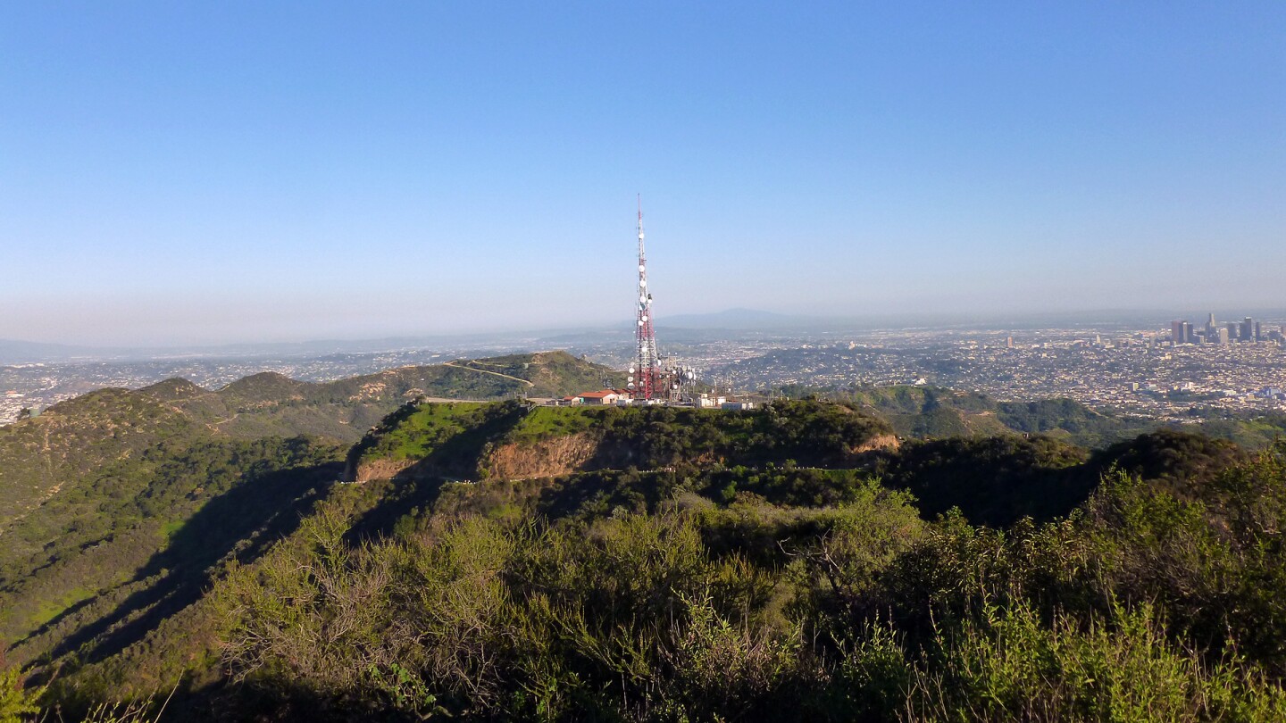 mt. lee