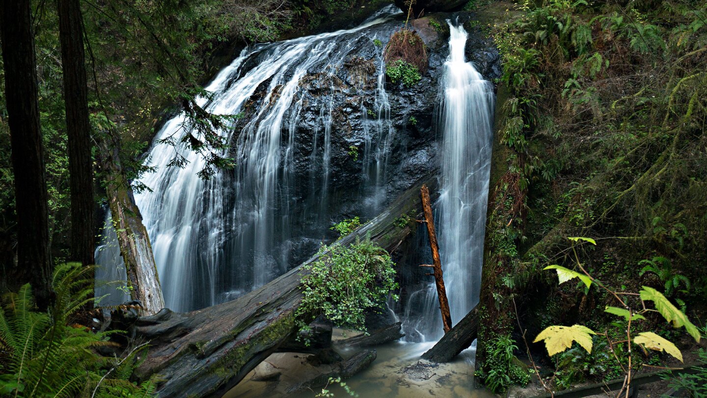 russian gulch state park