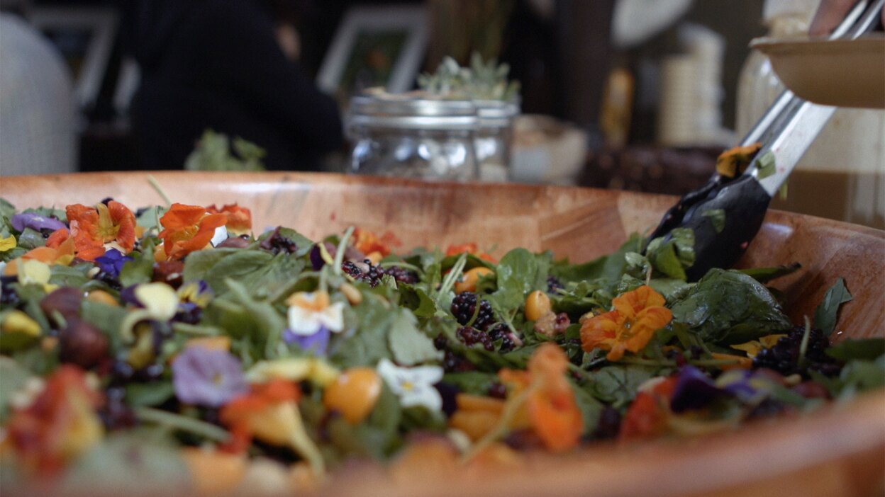Salad prepared with local ingredients at Café Ohlone. | Still from "Tending Nature"
