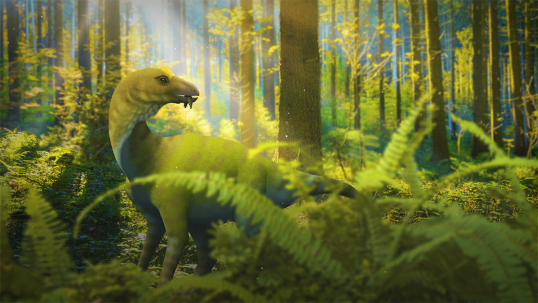 When Dinosaurs Threw Up A Mystery