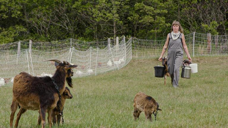 EB Ranch and San Clemente Island Goats