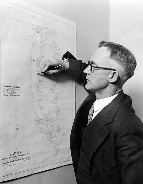 Merrill reviews plans for the California Botanic Garden. Courtesy of the Los Angeles Area Chamber of Commerce Collection, USC Libraries.