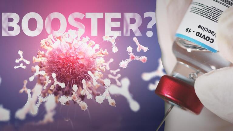 We Tested Our COVID Immunity Every Month