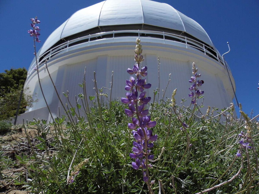 The 60-inch telescope at Mount Wilson Observatory | Sandi Hemmerlein