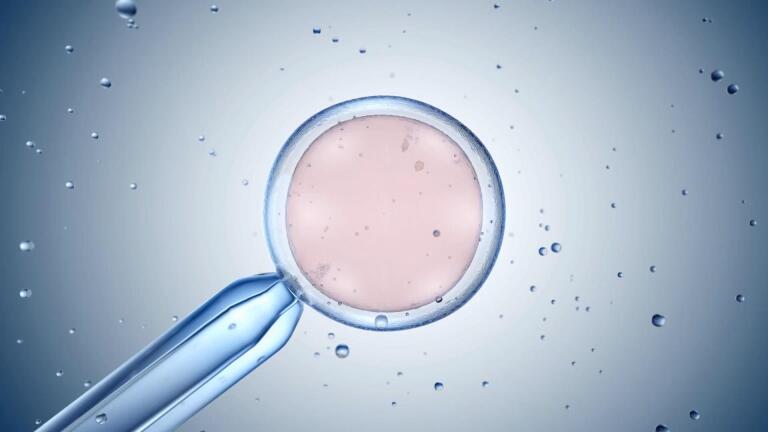 Robots Taking Over IVF: The Future of Fertility Treatments