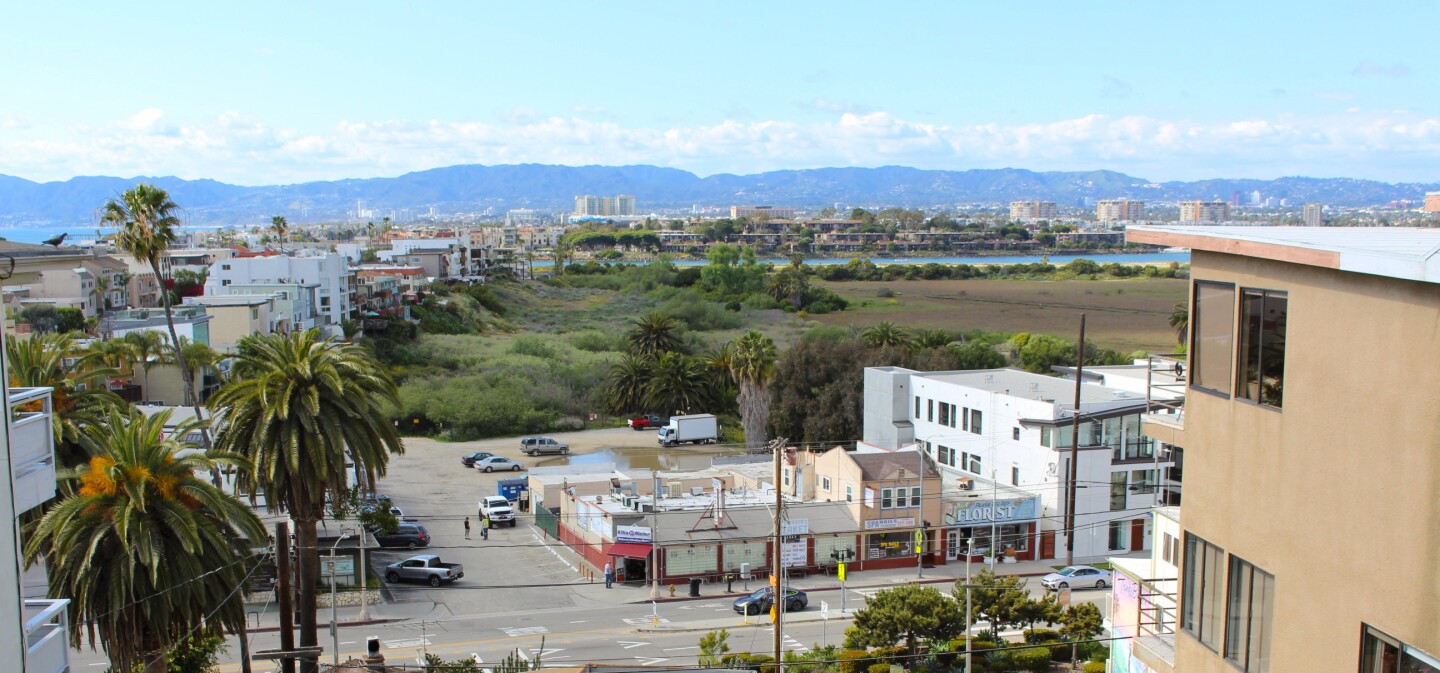 Overview of Playa del Rey and Ballona Wetlands March 2020