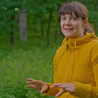 Prairies: Life in Motion