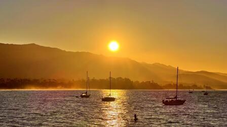 Preserving Ocean Life on the California Coast