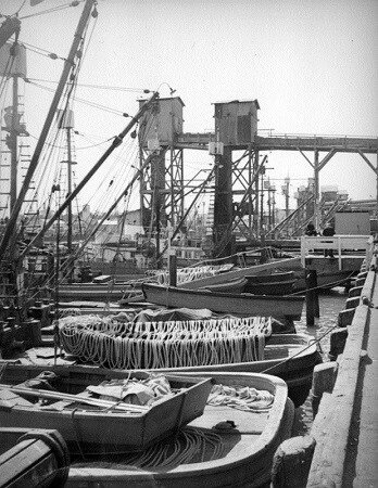Fisherman on break at Terminal Island