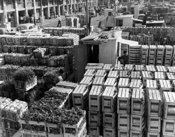 008-00032660.jpg