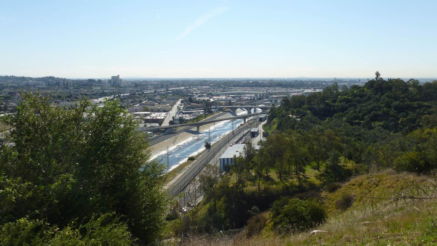 The view from the Chavez Ravine Arboretum. | Sandi Hemmerlein
