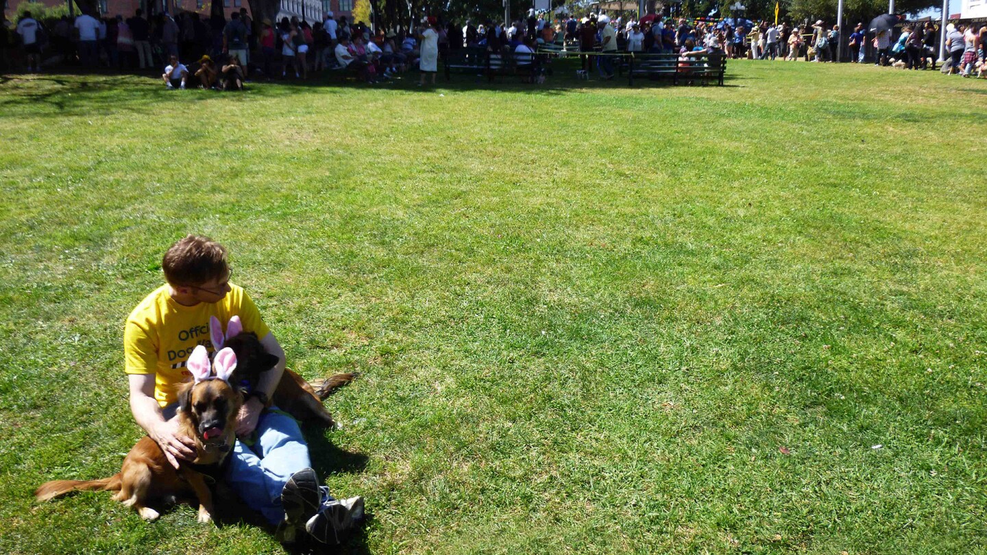 A dog and owner wait at the Blessing of the Animals.
