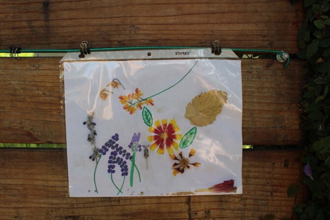 A picture featuring dried flowers hangs on Dan Fields’ Los Feliz fence gallery.