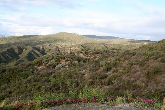 dorland_3