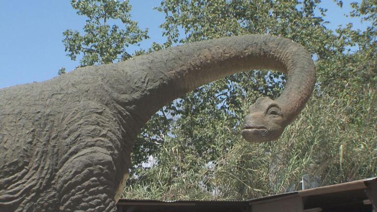 San Juan Dinosaur