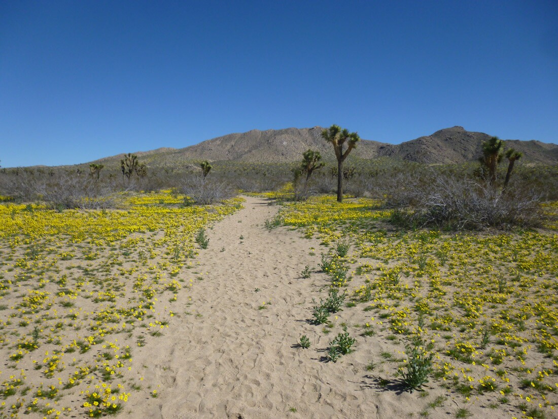 Saddleback Butte State Park