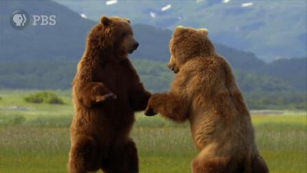 SUMMER OF ADVENTURE:  "WILD ALASKA LIVE"