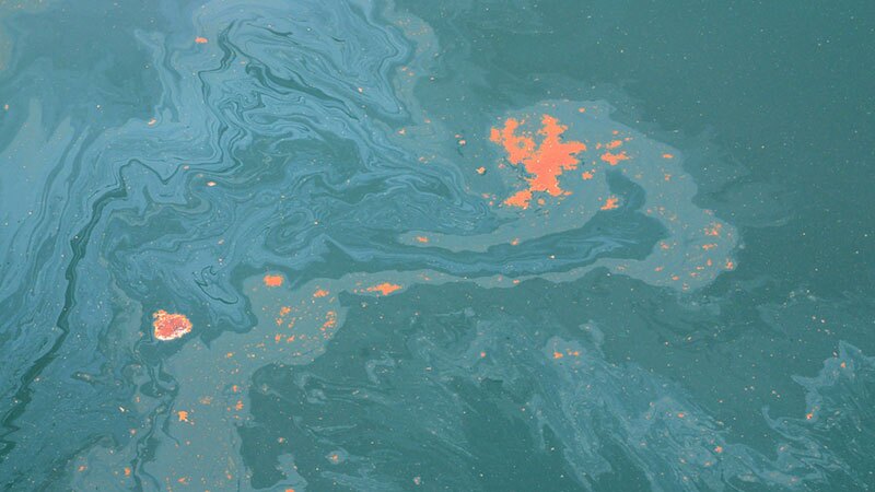 Spilled oil from the Deepwater Horizon disaster | Photo: Florida Fish and Wildlife